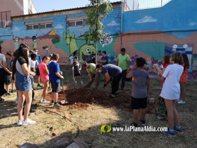 Fotografia /Galeria/2022/5/201253_126343/3_M1.jpg