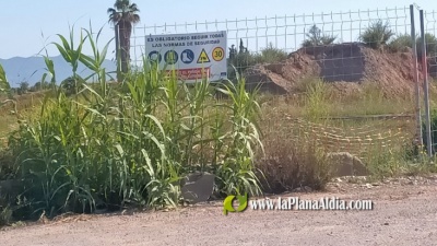 Fotografia /Galeria/2022/5/201290_126377/4_M1.jpg