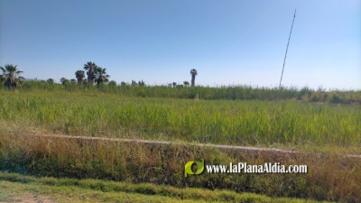 Fotografia /Galeria/2022/5/201290_126377/5_M1.jpg