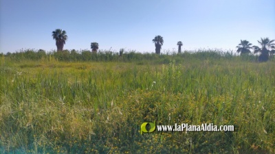 Fotografia /Galeria/2022/5/201290_126377/6_M1.jpg