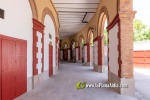 La pla?a de bous de Castell? es posa bonica per a la seua fira de Sant Joan 