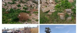 Las malas hierbas, los escombros y la basura vuelven a colonizar Golf Sant Gregori