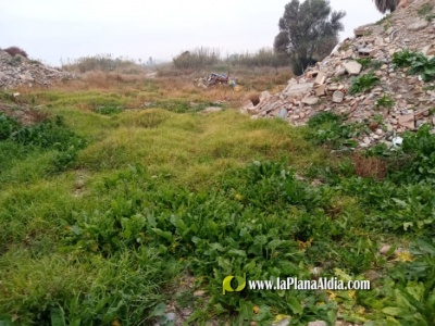 Fotografia /Galeria/2022/6/201437_126510/2_M1.jpg