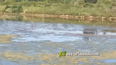 Fotografia /Galeria/2022/6/201470_126538/2_M1.jpg