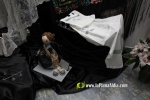 Visita al 'manifest' (I)
