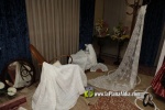 Visita al 'manifest' (I)