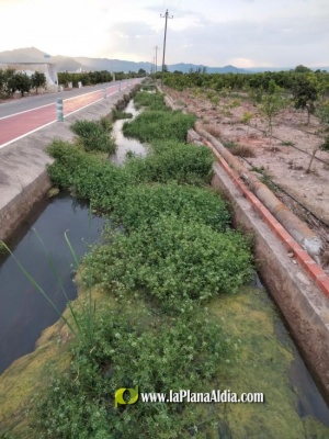 El da a da de Nules demuestra que el alcalde 'est superado' 