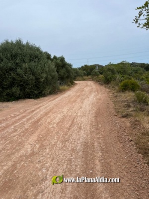 Fotografia /Galeria/2022/6/201614_126669/3_M1.jpg