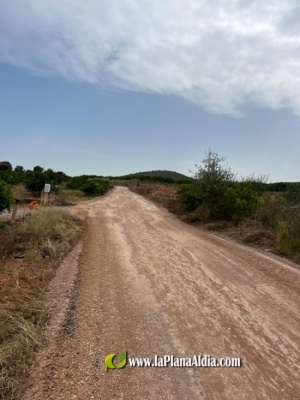 Fotografia /Galeria/2022/6/201614_126669/4_M1.jpg