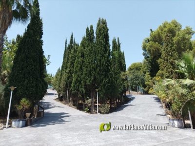 Fotografia /Galeria/2022/7/201829_126850/4_M1.jpg