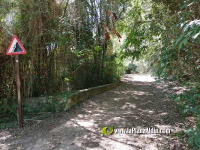 Fotografia /Galeria/2022/7/201830_126851/2_M1.jpg