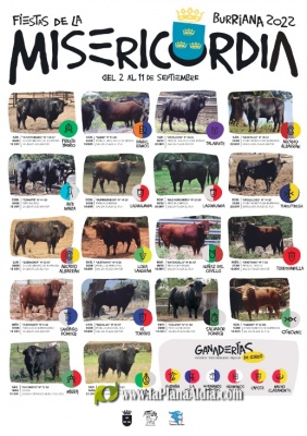 18 toros cerriles para la Misericòrdia de Burriana