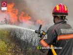 Cremen 350 hect?rees en un incendi forestal a Les Useres