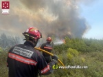 Cremen 350 hect?rees en un incendi forestal a Les Useres