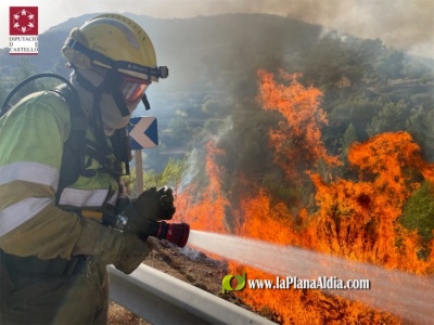 Arden 350 hectáreas en un incendio forestal en Les Useres