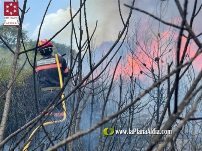 Fotografia /Galeria/2022/8/202212_127194/2_M1.jpg