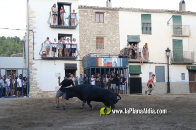 Terminan las Fiestas de la pedana alcorina de Araia con un gran cartel taurino