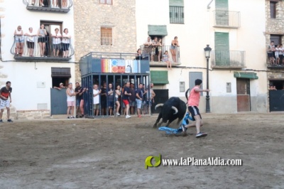 Fotografia /Galeria/2022/8/202215_127197/2_M1.jpg