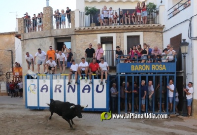 Fotografia /Galeria/2022/8/202215_127197/4_M1.jpg