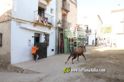 Fotografia /Galeria/2022/8/202215_127197/6_M1.jpg