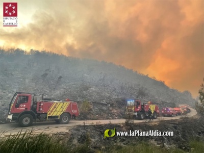 Fotografia /Galeria/2022/8/202232_127211/2_M1.jpg