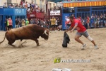 Ultimas jornadas taurinas de las Fiestas de Alcora con toros de las pe?as y ayuntamiento