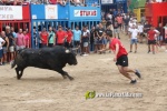 Ultimas jornadas taurinas de las Fiestas de Alcora con toros de las pe?as y ayuntamiento