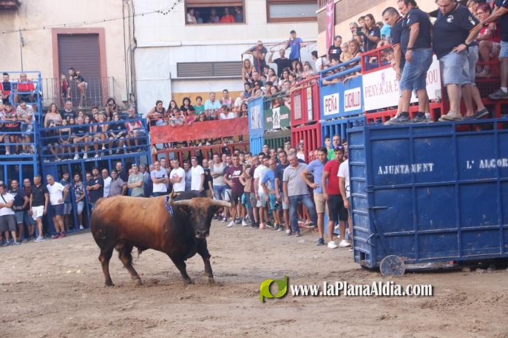 Ultima Jornada taurina con los toros de Rinc?n Taurino y Vint de Copes asi como de La Jotera