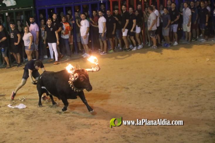 Ultima Jornada taurina con los toros de Rinc?n Taurino y Vint de Copes asi como de La Jotera