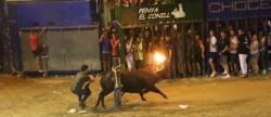 Ultima Jornada taurina con los toros de Rincón Taurino y Vint de Copes asi como de La Jotera