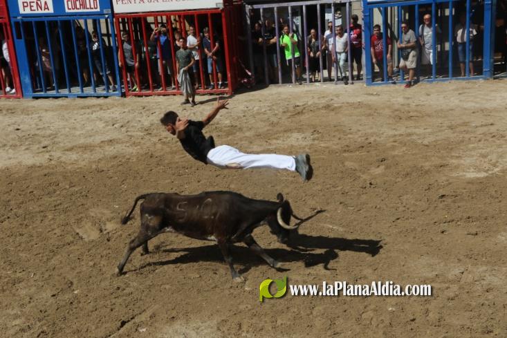 Ultima Jornada taurina con los toros de Rinc?n Taurino y Vint de Copes asi como de La Jotera