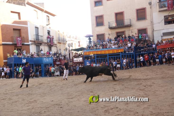 Ultima Jornada taurina con los toros de Rinc?n Taurino y Vint de Copes asi como de La Jotera