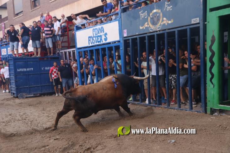 Ultima Jornada taurina con los toros de Rinc?n Taurino y Vint de Copes asi como de La Jotera