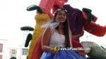 Batalla Flors 1
