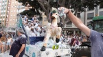 Batalla de Flors 2