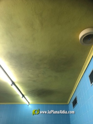 Fotografia /Galeria/2022/9/202385_127352/4_M1.jpg