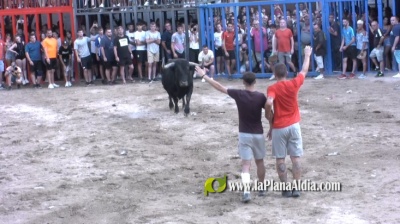 Fotografia /Galeria/2022/9/202388_127354/2_M1.jpg