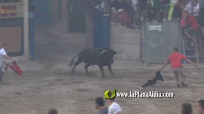 Fotografia /Galeria/2022/9/202388_127354/5_M1.jpg