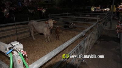 Fotografia /Galeria/2022/9/202416_127378/3_M1.jpg