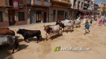 Betx? vibra amb el tancament dels Cebada Gago