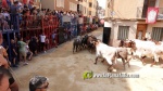 Betx? vibra amb el tancament dels Cebada Gago