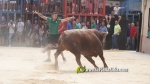 Betx? vibra amb el tancament dels Cebada Gago