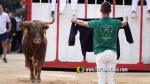 Betx? tanca els actes taurins de les Festes del Crist