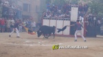 Betx? tanca els actes taurins de les Festes del Crist