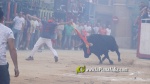 Betx? tanca els actes taurins de les Festes del Crist