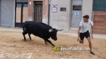 Betx? tanca els actes taurins de les Festes del Crist