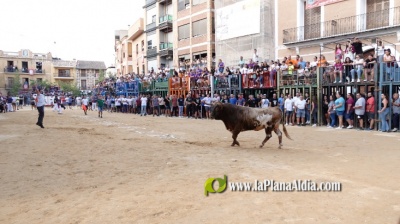 Fotografia /Galeria/2022/9/202448_127412/3_M1.jpg