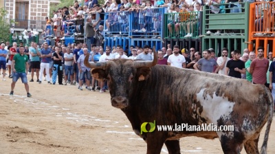 Fotografia /Galeria/2022/9/202448_127412/5_M1.jpg