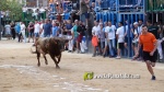 Betx? tanca els actes taurins de les Festes del Crist