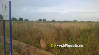 Fotografia /Galeria/2022/9/202463_127426/2_M1.jpg